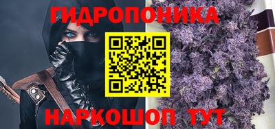 Альфа ПВП Можга