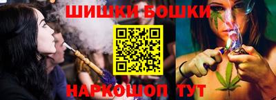 Альфа ПВП Можга
