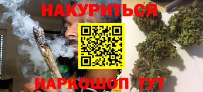 Альфа ПВП Можга