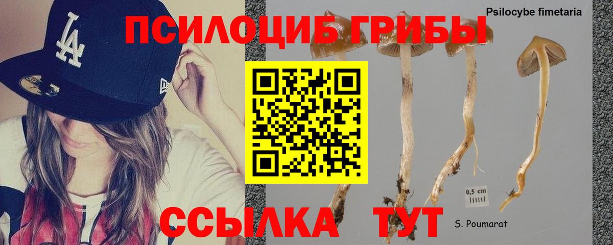 Псилоцибиновые грибы Magic Shrooms  Вход с VPN  Сафоново  Галлюциногенные грибы GOLDEN TEACHER 
